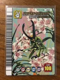 ムシキング　五周年　まとめ売り 超希少 未使用 ムシキング 5周年 コレクションカード 第1弾 24種類