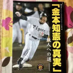 Item thumbnail for item 1bc8b699-9d6b-4898-b820-effb9899e987