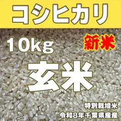キヨニシキ 玄米10kg 令和7年産 天日干し 化学肥料農薬不使用