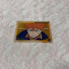 ハイキュー 日向翔陽