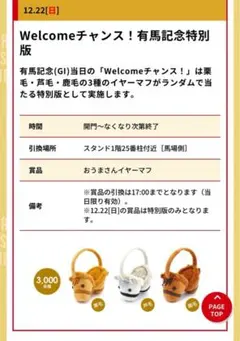 2025年最新】有馬記念イヤーマフの人気アイテム - メルカリ