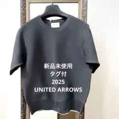 新品未使用タグ付　ユナイテッドアローズ　ラメライン ショートスリーブ ニット