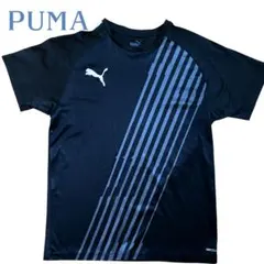 Item thumbnail for item 06b1a5e3-88cd-4c5a-b8bf-de7b2fa5523d