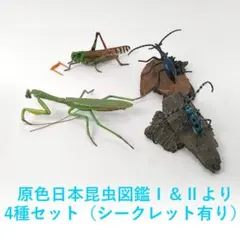 2026年最新】原色日本昆虫図鑑Ⅱの人気アイテム - メルカリ