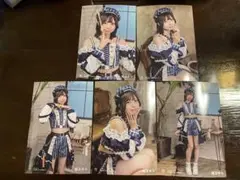 手羽先センセーション　2025.09.13 名古屋城写真　雛汰ゆら　フルコンプ