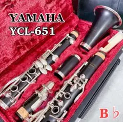 2025年最新】ycl 651の人気アイテム - メルカリ