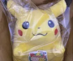 ポケットモンスター ポケモン30周年記念 おかえり！ピカチュウ1/1