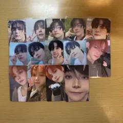 &TEAM andTEAM NICHOLAS ニコラス 14枚 トレカセット