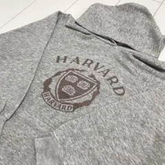 80'sビンテージ古着！アメリカ製 champion 染み込み HARVARD