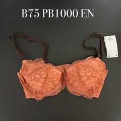 B75 PB1000 ENワコール　ウイング　レシアージュ