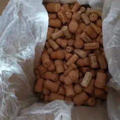 Item thumbnail for item 034c7e0f-690f-4257-9c4a-59af833dc8f7