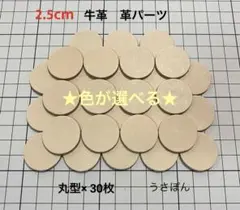 Item thumbnail for item 73f3f498-ccef-4328-9853-14c4b8576267