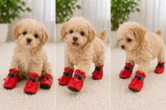 子犬用 ドッグシューズ 防水 滑り止め 反射テープ付 レインシューズ 赤 xxs