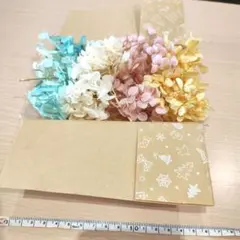 プリザーブド紫陽花　アナベルセット
