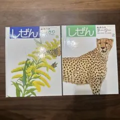 しぜん 2022年7月号 トマト キンダーブック フレーベル館 - メルカリ