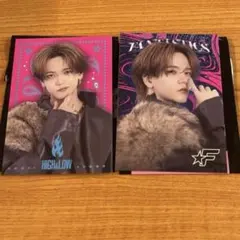 FANTASTICS HiGH&LOW 中島颯太フォトカード 2種類