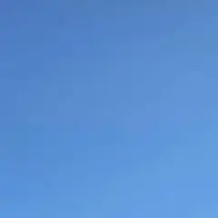 専用