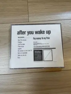 Pay money To my Pain after you wake up