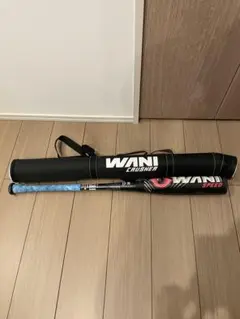 Item thumbnail for item e1cf4f2c-a9cd-4b54-87ac-8da83f4896f8