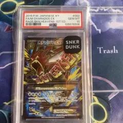 ギャラドス　ex sr psa10 PSA10】ギャラドスex SR 【公式通販】