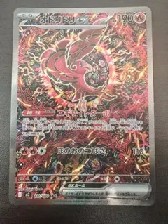 【極美品】オドリドリex sar