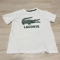 LACOSTE ホワイト Tシャツ