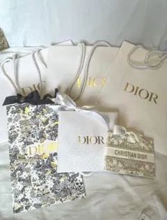 Diorショッパーまとめ売り 6枚セット 大・中・小 リボン付き