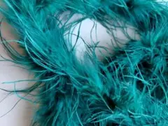 1PLY*B品 オーストリッチ 青緑 フロート 羽毛　羽根 社交ダンス