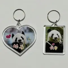 【訳あり】リーリー＆シンシン キーホルダー　ジャイアントパンダ　シャンシャン