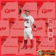 BBM 2024 Fusion 20枚限定 PICTURESQUE 羽月隆太郎 BBM 2024 Fusion 20枚限定 PICTURESQUE 羽月隆太郎 BBM 2024