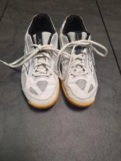 Item thumbnail for item e62a5bf8-7946-4467-9ac7-cc1b6e44e8df