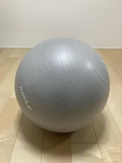 GYMNIC(ギムニク) フィジオロール 青 バランスボール ピーナッツ型