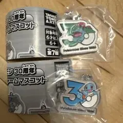 ポケモン30周年メタルチャームマスコット