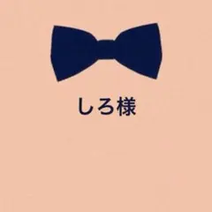しろ(フォロー割あります)様 リクエスト 3点 まとめ商品