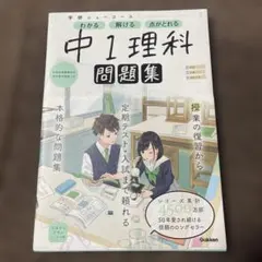 Item thumbnail for item 31fd540a-9458-4d30-ab48-bf540a4b5d5f