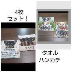 ハンドメイド♡♡タオルハンカチ(チワワ)