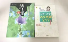 古文上達 & マドンナ古文常識217