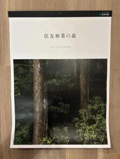 Item thumbnail for item b1ab4cdb-262d-4a88-aa9f-02fcde6e02e3