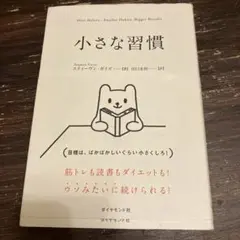 小さな習慣 スティーブン・ガイズ