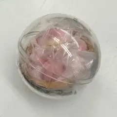 こびとづかん カプリウムコレクション カクレモモジリ