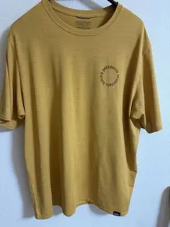 パタゴニア　キャプリーンクールデイリー　グラフィックシャツ　Lサイズ