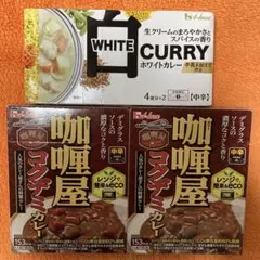 北海道 スープカリーせんべい 大容量 北海道限定 スープカレーせんべい
