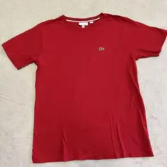 LACOSTE ラコステ レッド Tシャツ 16サイズのサムネイル