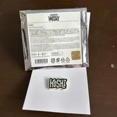 セブンティーン　HOLIDAY PINS ホシ