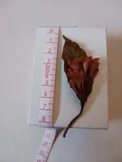 Item thumbnail for item 2d32ae6a-63e9-4932-86b0-c8978691d3ae