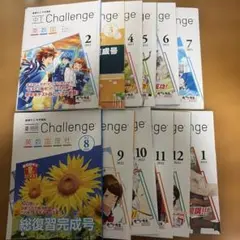 河合塾 テキスト 英文法・語法完全攻略テスト 成川博康先生　鉄緑会 駿台 大学受験Nシリーズ|深めて解ける！英文法BASIC|成川 博康(著