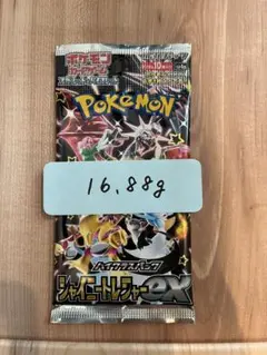 シャイニートレジャー