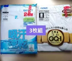 【3枚セット】GUNZE 吸汗速乾 半ズボン下(前あき) L