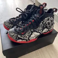 Nike Air Foamposite One