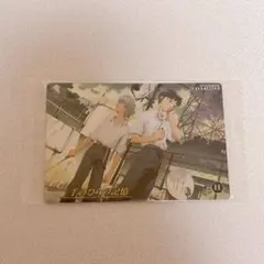 エヴァンゲリオン 限定 ウエハースカード 碇シンジ 渚カヲル